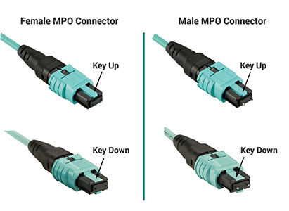 MTP/MPO Connectors